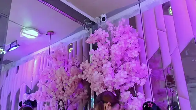 TessaCooper1 online show from November 9, 2025, 9:46 pm