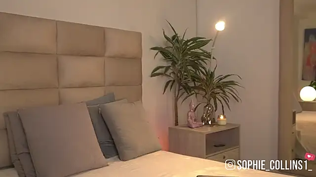 SophieCollins 1 online show from June 1, 2026, 11:56 am
