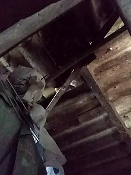 Snapshot of _Helala_ chatting on October 21, 2025, 11:49 pm  Helala  online show from October 21, 2025, 11:49 pm