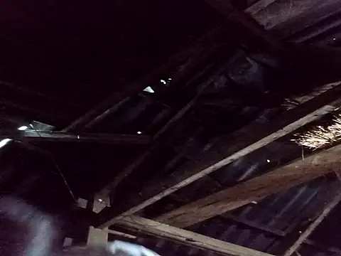 Snapshot of _Helala_ chatting on October 25, 2025, 11:21 pm  Helala  online show from October 25, 2025, 11:21 pm