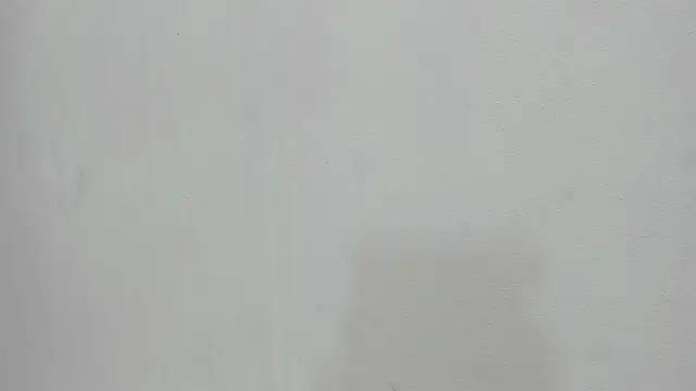 scarlett646 online show from November 19, 2025, 3:06 am