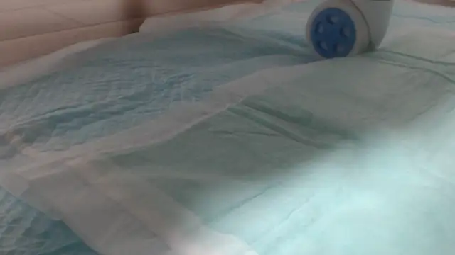 Snapshot of asuka_xoxo chatting on October 19, 2025, 8:31 pm asuka xoxo online show from October 19, 2025, 8:31 pm