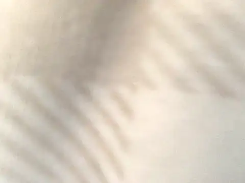 Snapshot of Tishrella6 chatting on September 11, 2025, 7:25 pm Tishrella6 online show from September 11, 2025, 7:25 pm