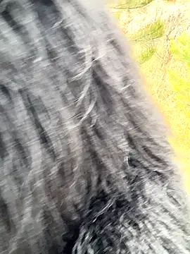 desiredude9 online show from November 1, 2025, 7:10 am