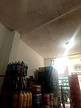 VERONICA  03 online show from October 20, 2025, 1:55 pm