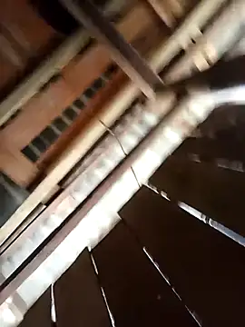 Ngocmi909 online show from March 22, 2026, 3:10 am