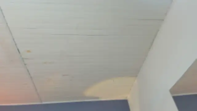 Snapshot of BellaBoobs_ chatting on October 3, 2025, 7:44 pm BellaBoobs  online show from October 3, 2025, 7:44 pm