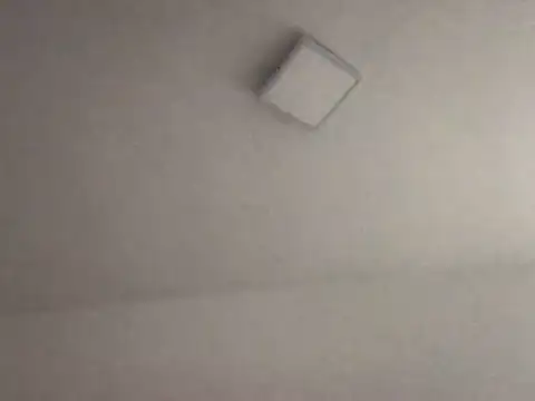 alegriadodia online show from October 8, 2025, 7:55 pm