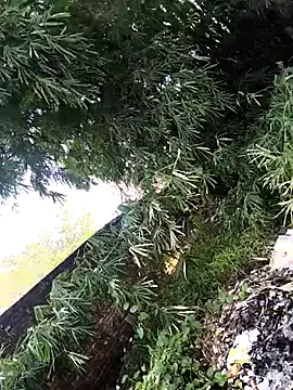 onlymasti00 online show from November 4, 2025, 8:57 am