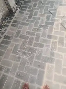 PunjabiSardarBull online show from November 20, 2025, 4:34 am