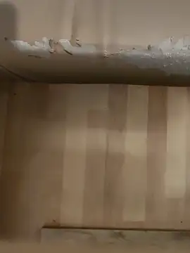 Snapshot of DarkNova9 chatting on October 17, 2025, 3:42 am DarkNova9 online show from October 17, 2025, 3:42 am