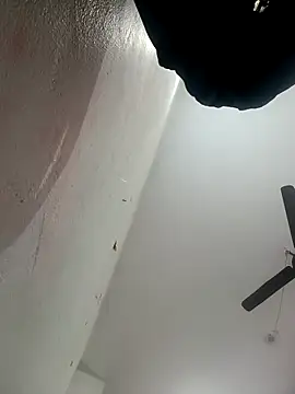 Appypie online show from February 1, 2026, 8:46 am