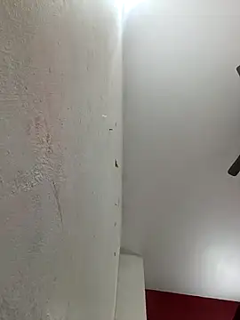 Appypie online show from February 3, 2026, 6:11 am