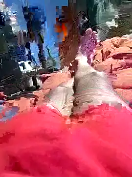 Snapshot of QJHoElyking chatting on October 10, 2025, 3:27 am QJHoElyking online show from October 10, 2025, 3:27 am