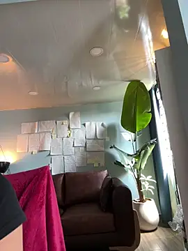 Canneela online show from February 21, 2026, 7:04 pm