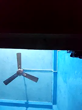 BlackCobraOwner online show from November 28, 2025, 1:03 pm