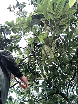 lamejorpene online show from February 5, 2026, 1:05 pm