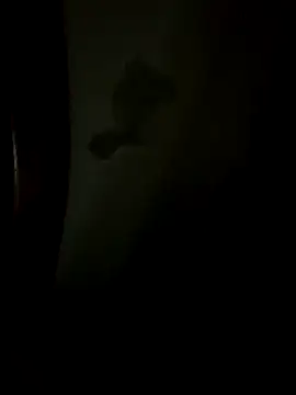 Snapshot of Bruno18cmmmmkk chatting on December 19, 2025, 3:46 am Bruno18cmmmmkk online show from December 19, 2025, 3:46 am