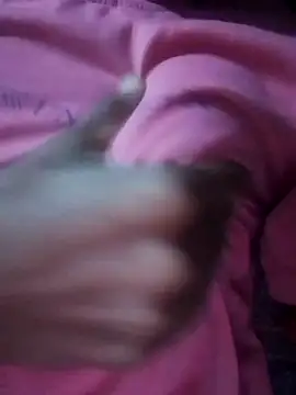 bhanu 11 online show from September 30, 2025, 4:01 pm