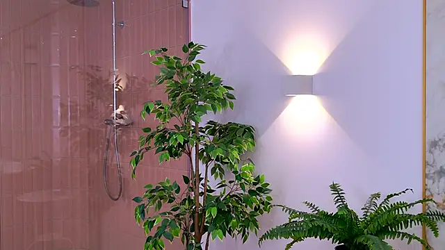 AmadaReine online show from November 14, 2025, 3:55 pm