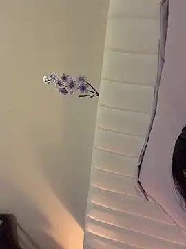 Snapshot of littiekitty chatting on February 14, 2026, 10:50 pm littiekitty online show from February 14, 2026, 10:50 pm