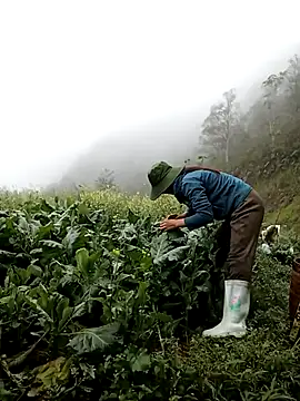 ngan-cute online show from March 12, 2026, 4:07 am