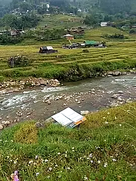 bing-bing88 online show from September 14, 2025, 3:49 am