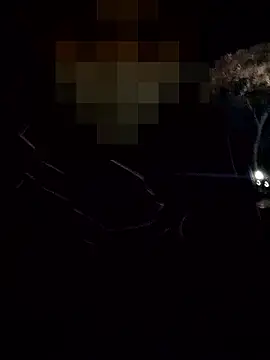 thcn12345 online show from December 3, 2025, 10:02 am