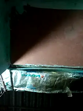 Hot-honi online show from October 7, 2025, 12:46 pm