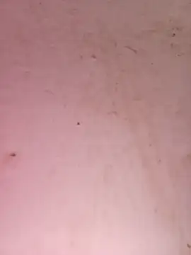 Snapshot of Payal950 chatting on September 25, 2025, 6:17 am Payal950 online show from September 25, 2025, 6:17 am