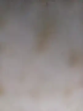 Snapshot of Payal950 chatting on October 5, 2025, 12:53 am Payal950 online show from October 5, 2025, 12:53 am