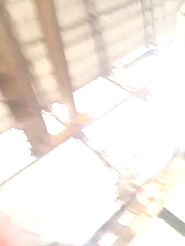 Snapshot of xyz-indian chatting on October 11, 2025, 3:50 am xyz-indian online show from October 11, 2025, 3:50 am