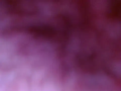 Snapshot of Your_candy_47 chatting on September 17, 2025, 1:24 pm Your candy 47 online show from September 17, 2025, 1:24 pm