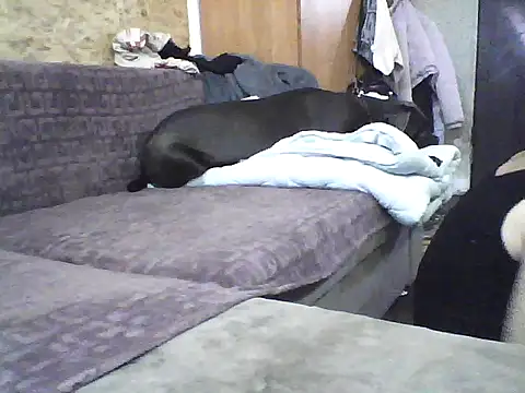 Milana38 online show from October 7, 2025, 9:50 am