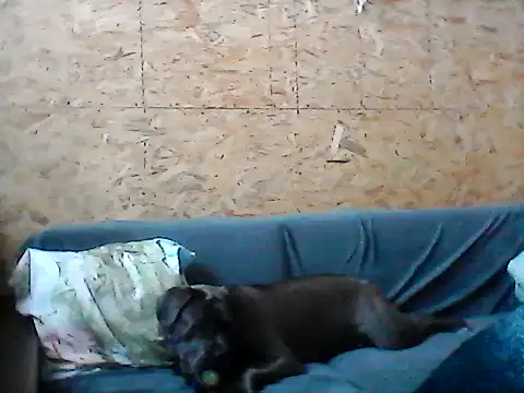 Milana38 online show from January 16, 2026, 11:14 am