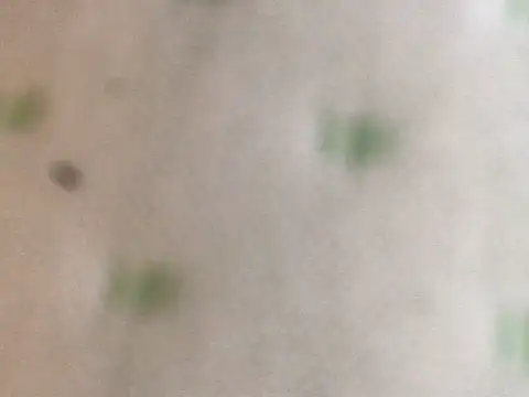 Snapshot of proxanne chatting on September 14, 2025, 10:58 am proxanne online show from September 14, 2025, 10:58 am