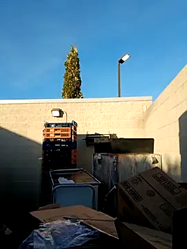 Dropdingo online show from November 11, 2025, 1:33 pm