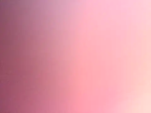 Dropdingo online show from November 13, 2025, 11:14 pm