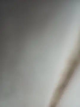 Jobson40 online show from October 16, 2025, 12:11 am