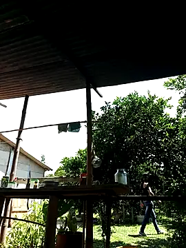 AlphaAlterX online show from October 2, 2025, 6:04 pm