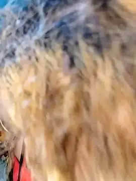 hemilynthomas2467 online show from February 1, 2026, 7:23 pm