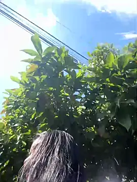 Snapshot of Sophie_Dreamss chatting on October 3, 2025, 7:33 pm Sophie Dreamss online show from October 3, 2025, 7:33 pm