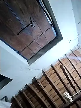 telugu pellam online show from February 11, 2026, 4:06 am