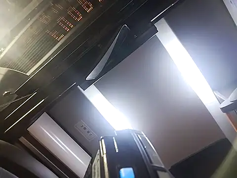 Necroforo online show from March 19, 2026, 9:08 pm