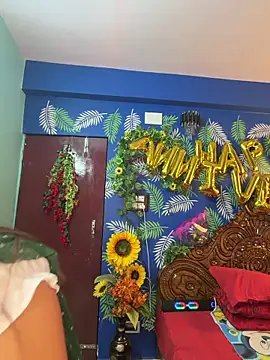 Snapshot of V-Hot-Sweti chatting on February 25, 2026, 4:05 pm V-Hot-Sweti online show from February 25, 2026, 4:05 pm