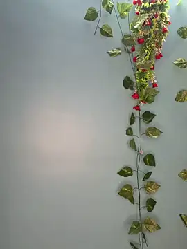 Snapshot of V-Hot-Sweti chatting on March 30, 2026, 5:25 pm V-Hot-Sweti online show from March 30, 2026, 5:25 pm