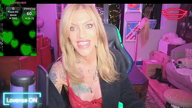 xl uk top trans online show from April 21, 2026, 10:12 pm