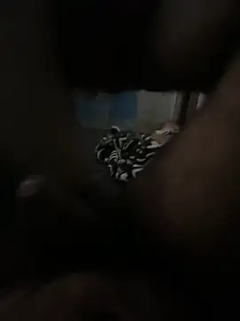 FromVnz online show from November 21, 2025, 12:37 pm