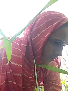 Jalebi bay online show from February 11, 2026, 9:14 am