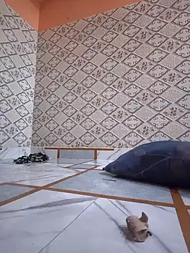 Snapshot of Aidakhan1212 chatting on March 10, 2026, 4:23 pm Aidakhan1212 online show from March 10, 2026, 4:23 pm